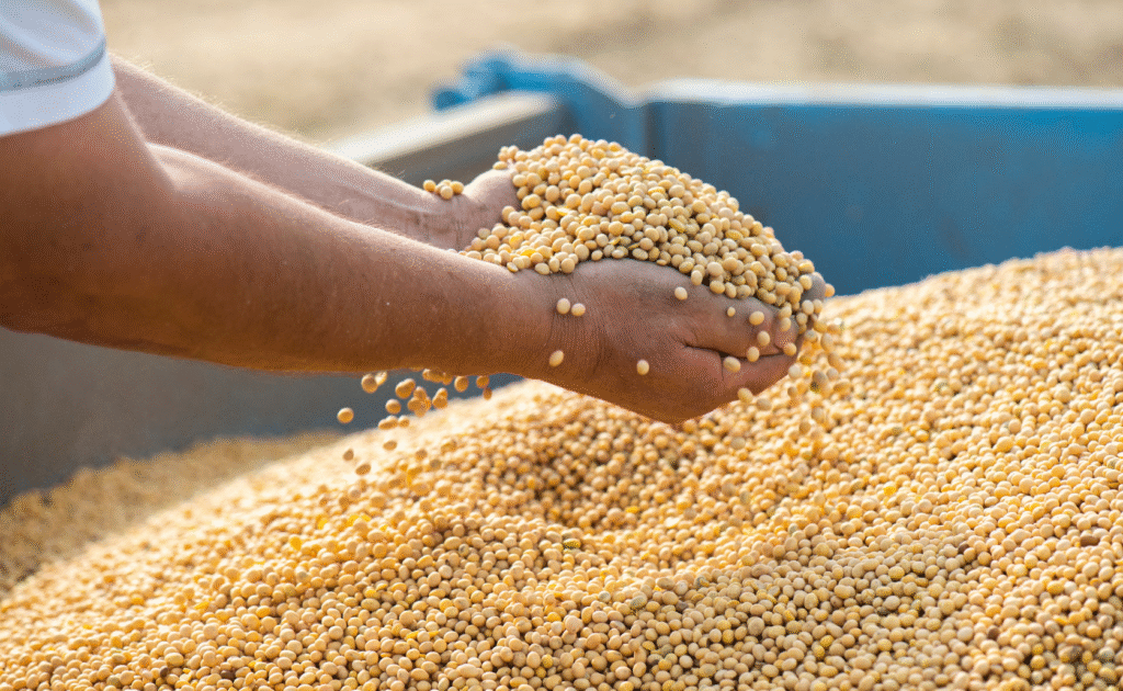 agricultural-commodity-prices-in-nigeria